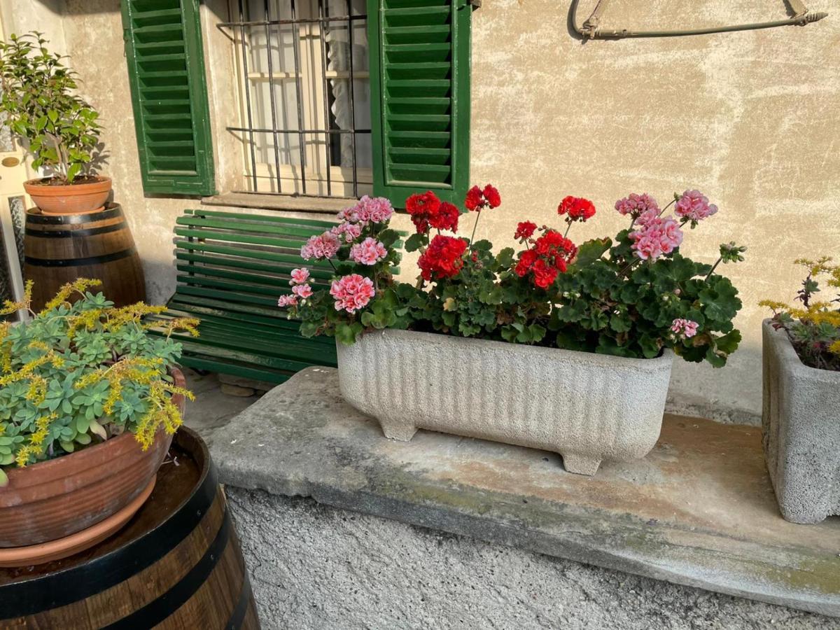 The Montevecchia Home - Frida Apartment ภายนอก รูปภาพ